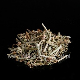 Cikória - Cichorum intybus - 250g apróra vágva