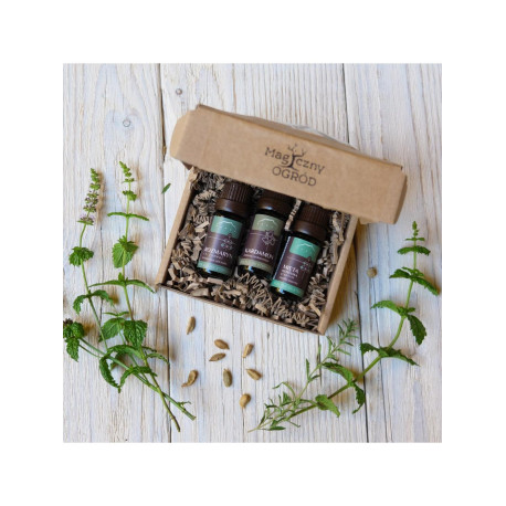 Legyen tiszta elméje