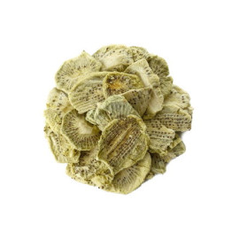 Liofilizált kivi - 100g