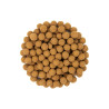 Fahéjas rizscsokoládé chips - 3kg