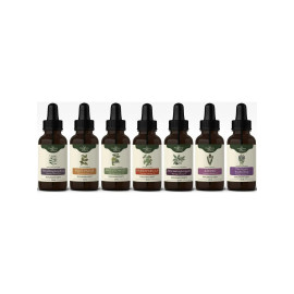 Bühners Protocol of Lyme-kór tinktúra - EXTENDED - 50ml