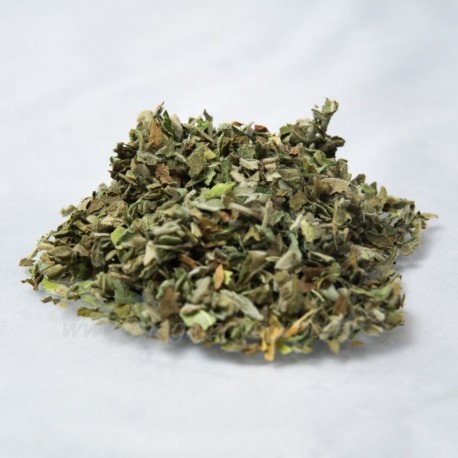 Marshmallow Top - Althaea officinalis - 50g