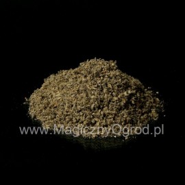 Finom manyhén - Verbascum thapsiforme - 1 kg