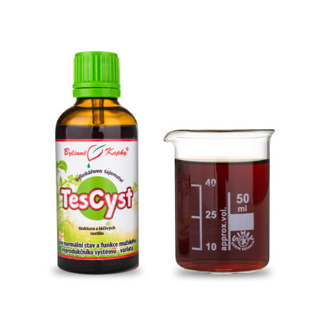 TesCyst csepp (tinktúra) 50 ml