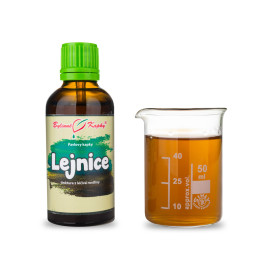 Lejnice (TCM) - Paul gyógynövényes cseppek (tinktúra) 50 ml