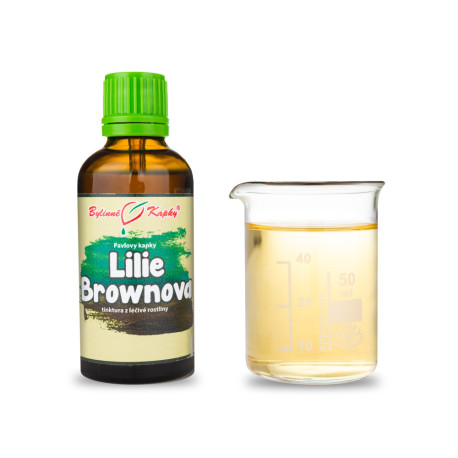 Barna liliom (TCM) - Pavlovy gyógynövényes cseppek (tinktúra) 50 ml