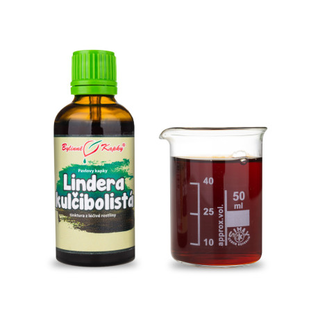 Lindera kulčibolista (TCM) - Paul gyógynövényes cseppek (tinktúra) 50 ml