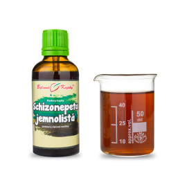 Schizonepeta (TCM) - Pavlovy gyógynövényes cseppek (tinktúra) 50 ml