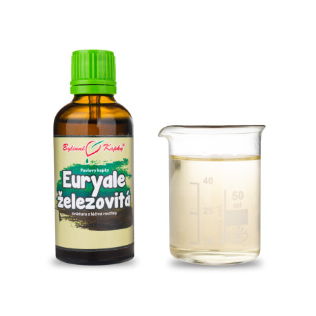 Euryale vas (TCM) - Paul gyógynövényes cseppek (tinktúra) 50 ml