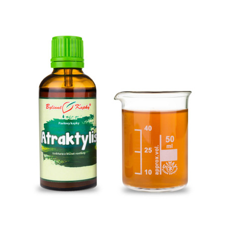 Atraktylis csepp (tinktúra) 50 ml
