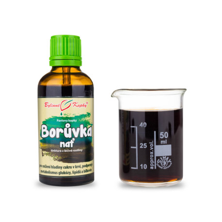 Áfonya cseppek (tinktúra) 50 ml