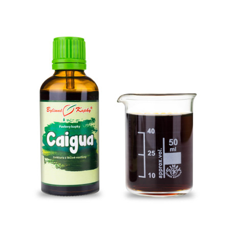 Caigua csepp (tinktúra) 50 ml