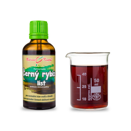 Fekete ribizli levélcsepp (tinktúra) 50 ml