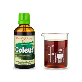 Coleus csepp (tinktúra) 50 ml