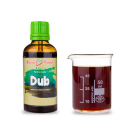 Nyári tölgy (tinktúra) 50 ml