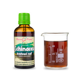 Echinacea lila csepp - virágzó szár (tinktúra) 50 ml