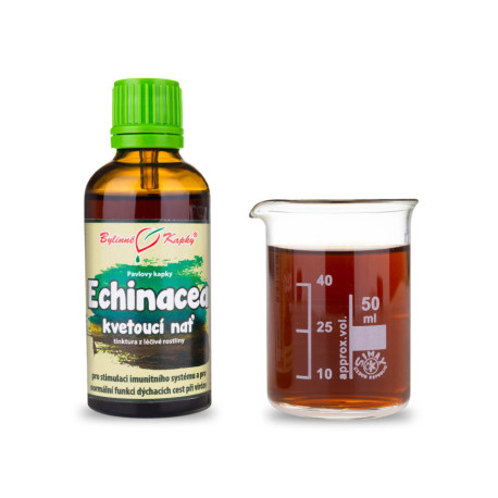 Echinacea lila csepp - virágzó szár (tinktúra) 50 ml