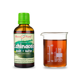 Echinacea lila cseppek - virágzó szár + gyökér (tinktúra) 50 ml
