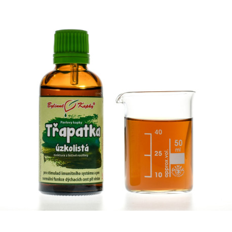 Echinacea angustifolia (Echinacea keskenylevelű) cseppek (tinktúra) 50 ml