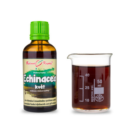 Echinacea lila virág - (tinktúra) 50 ml