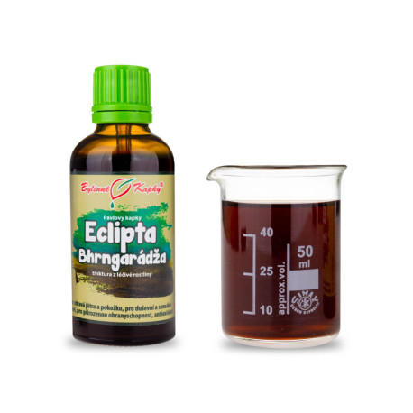 Eclipta Fehér Csepp (Tinktúra) 50 ml