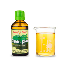 Ginkgo kétkaréjos gyümölcscsepp (tinktúra) 50 ml