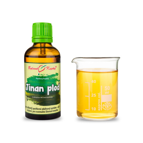 Ginkgo kétkaréjos gyümölcscsepp (tinktúra) 50 ml