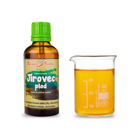 Vadgesztenye gyümölcs csepp (tinktúra) 50 ml