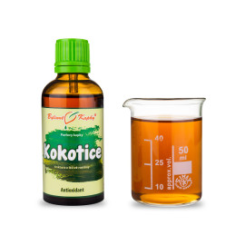 Kokotica csepp (tinktúra) 50 ml