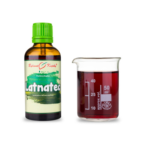 Latnatec cseppek (tinktúra) 50 ml