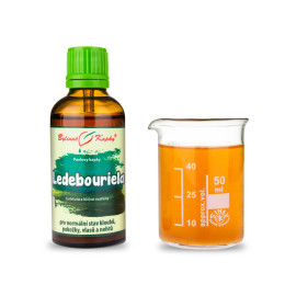 Ledebouriela csepp (tinktúra) 50 ml