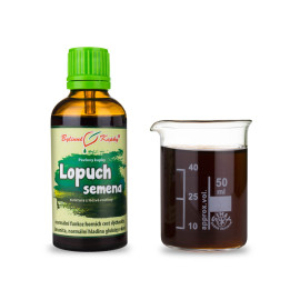 Bojtorján nagyobb magcseppek (tinktúra) 50 ml