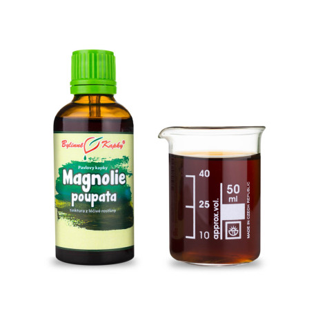 Magnólia rügycseppek (tinktúra) 50 ml