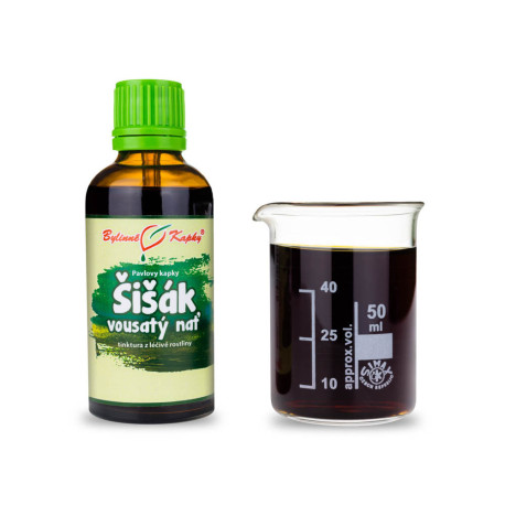 Szakállas fenyőtoboz csepp (tinktúra) 50 ml