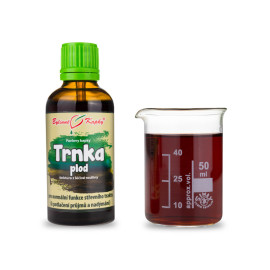 Kökény szilva gyümölcscsepp (tinktúra) 50 ml