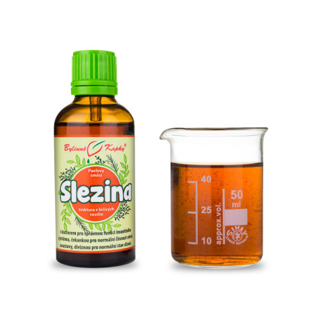 Lépcseppek (tinktúra) 50 ml