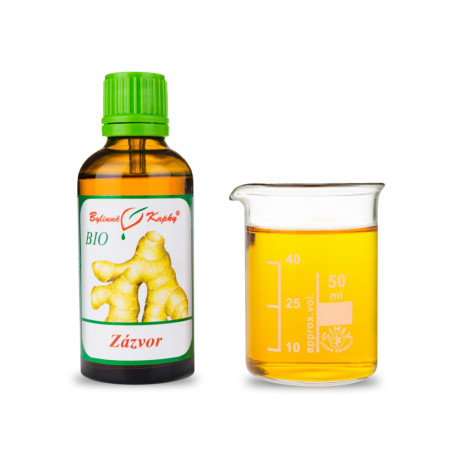 Gyömbér BIO csepp (tinktúra) 50 ml