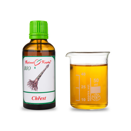 Shatavari BIO csepp (tinktúra) 50 ml