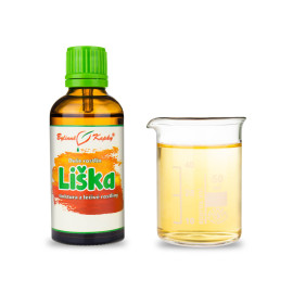 Rókagomba - Gyógynövényes cseppek (tinktúra) Plant Soul 50 ml