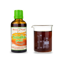 Bazsalikom - cseppek Növények lelke (tinktúra) 50 ml