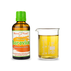 Fenyő - cseppek Növények lelke (tinktúra) 50 ml