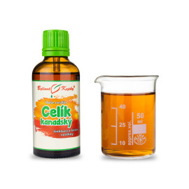 Kanadai aranyvessző - cseppek Növények lelke (tinktúra) 50 ml