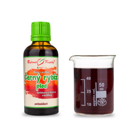 Fekete ribizli gyümölcs - Növényi lélek (tinktúra) 50 ml