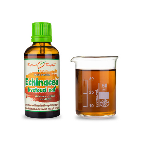 Echinacea Lila Virágzó Szár - Gyógynövényes cseppek (Tinktúra) Plant Soul 50 ml