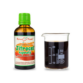 Lándzsás útifű - Növényi Lélek Gyógynövényes cseppek (Tinktúra) 50 ml