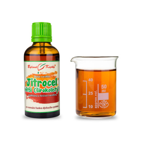 Greater Útifű - Gyógynövényes cseppek (tinktúra) Plant Soul 50 ml