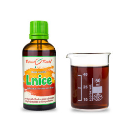 Common Lip - Gyógynövényes cseppek (tinktúra) Plant Soul 50 ml