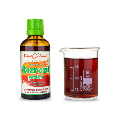 Veronika potočná - Gyógynövényes cseppek (tinktúra) Növények lelke 50 ml