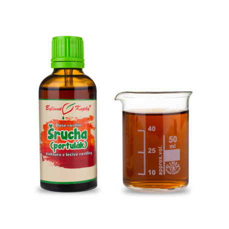 Káposzta porcsin - Gyógynövényes cseppek (tinktúra) Növényi lélek 50 ml