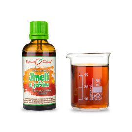 Berkenye fagyöngy - Gyógynövényes cseppek (tinktúra) Plant Soul 50 ml